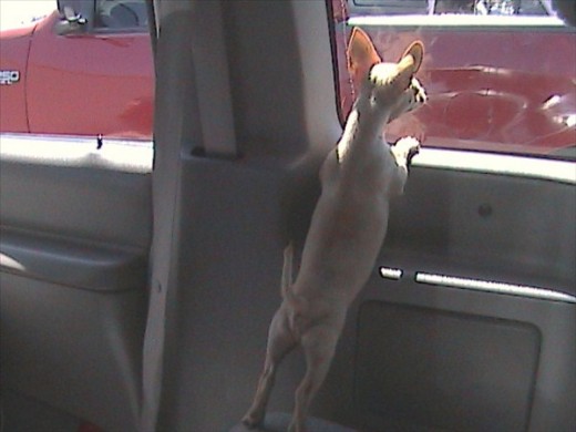 ESPERANDO EN EL AUTO 